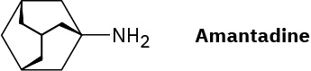 The structure of Amantadine.