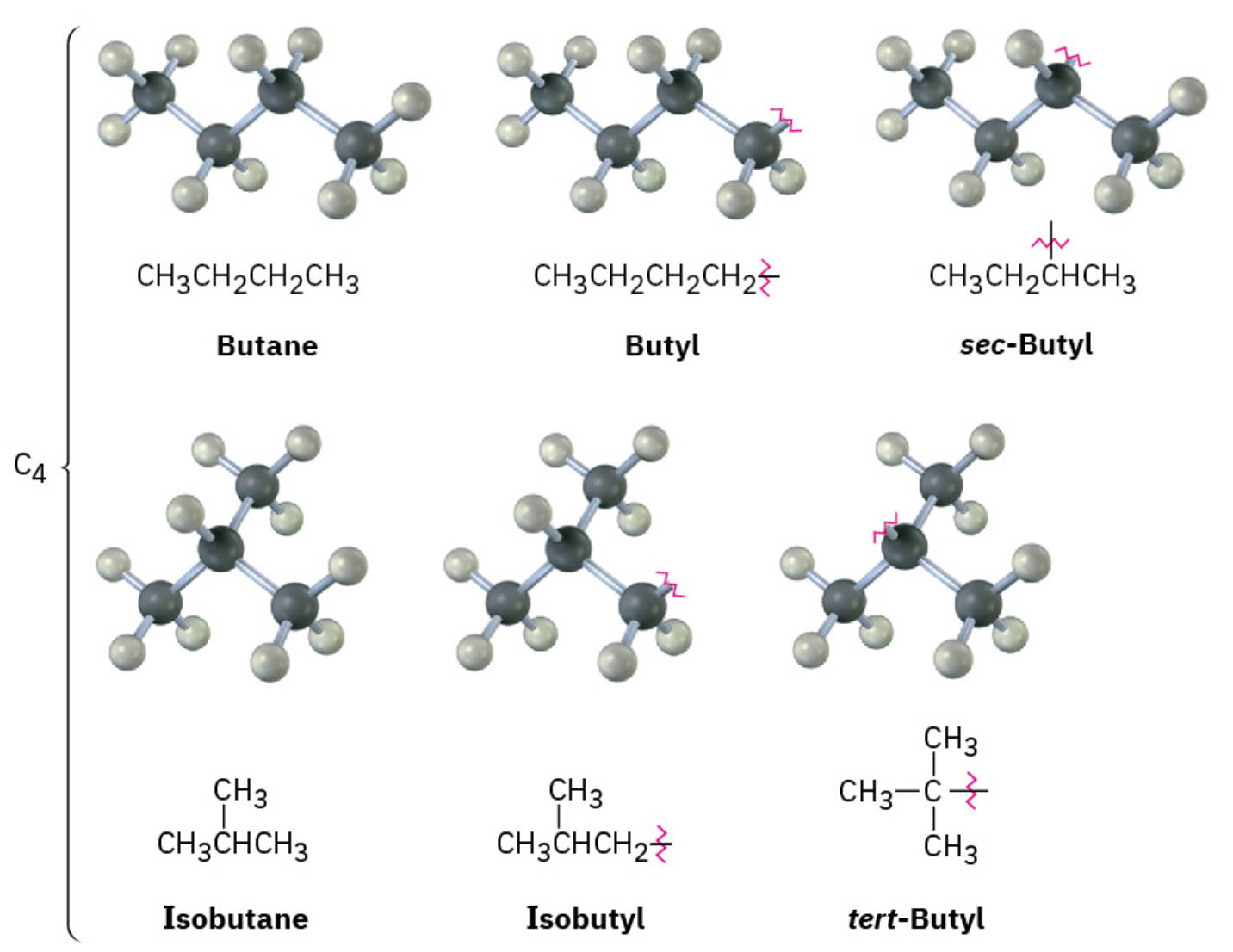 The molecular structures and ball and stick models of butane, butyl, sec-butyl, isobutane, isobutyl, and tert-butyl. Black and grey spheres represent carbon and hydrogen, respectively.