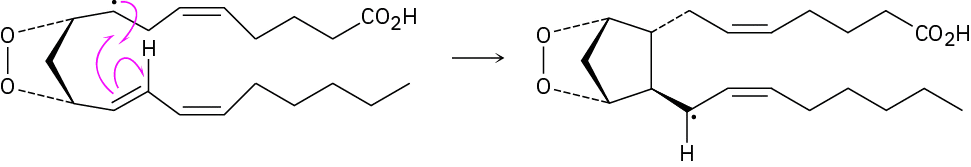 The mechanism for the formation of cyclopentane ring in prostaglandin H 2 radical.