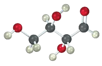 The ball-and-stick model of aldotetrose which is an aldose with four carbon atoms. The gray, black, and red spheres represent hydrogen, carbon, and oxygen atoms, respectively.