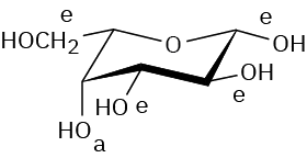 Structure of beta-L-galactopyranose with an axial OH at C 4 and three equatorial  O H groups at C 1, C 2 and C 3.