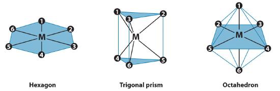 Metal complexes showing hexagonal, trigonal prism, and octahedron geometries.