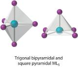 Trigonal bipyramidal and square pyramidal ML5
