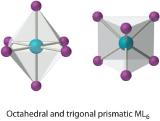 Octahedral and trigonal prismatic ML6