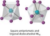 Square antiprismatic and trigonal dodecahedral ML8.