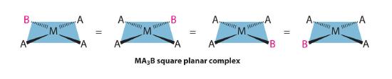 MA3B square planar complex