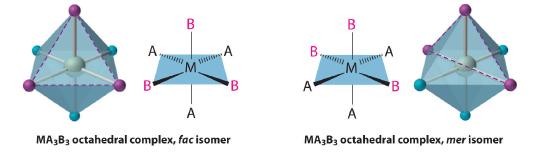 MA3B3 octahedral complexes shown in the fac and mer isomers.