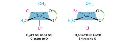 Co(ox)(H2O)2BrCl shown as H2O's cis; Br, Cl cis; Cl trans to Ox and again with all things constant except the Br is trans to Ox.