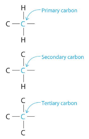 Primary carbons are attached to a single carbon, secondary carbons are attached to two carbons and tertiary carbons are attached to three carbons.