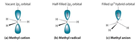 A methyl cation has a vacant 2Pz orbital. The methyl radical has a half filled 2Pz orbital. A methyl anion has a filled sp3 hybrid orbital.