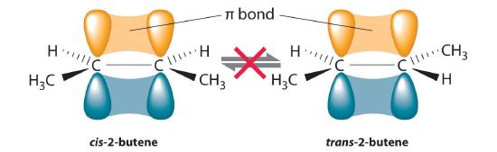  The pi bond in 2-butene prevents the molecule from interchanging between the cis and trans conformations.