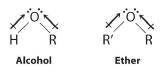 Two dipoles point toward the oxygen of an alcohol from the hydrogen and R group. The same is seen with the oxygen and R groups of an ether.