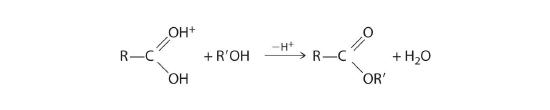 A generic protonated carboxylic acid reacts with a generic alcohol to deprotonate the hydroxy group and form an ester with the R group of the alcohol.