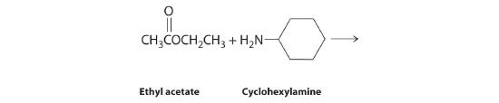 Ethyl acetate reacts with cyclohexylamine to form blank.