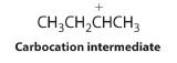 The carbocation intermediate has a positive charge on the second carbon of butane.