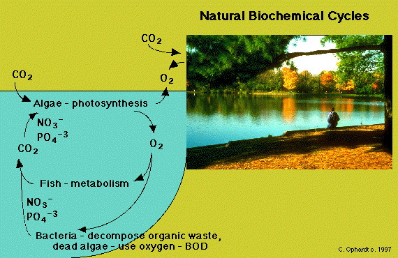 A pciture of lake is shown as an example of an environment which has natural biochemical cycles. 