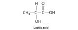 Structure of Lactic Acid.