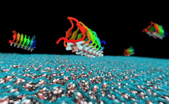 Spruce budworm Choristoneura fumiferana antifreeze protein… | Flickr