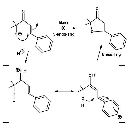 A través de un ataque ácido en el grupo cetona que resulta en OH+ conectado a la molécula con el doble enlace y posterior tautomerización, la ciclación es capaz de ocurrir en el sistema 5-endo-trig.
