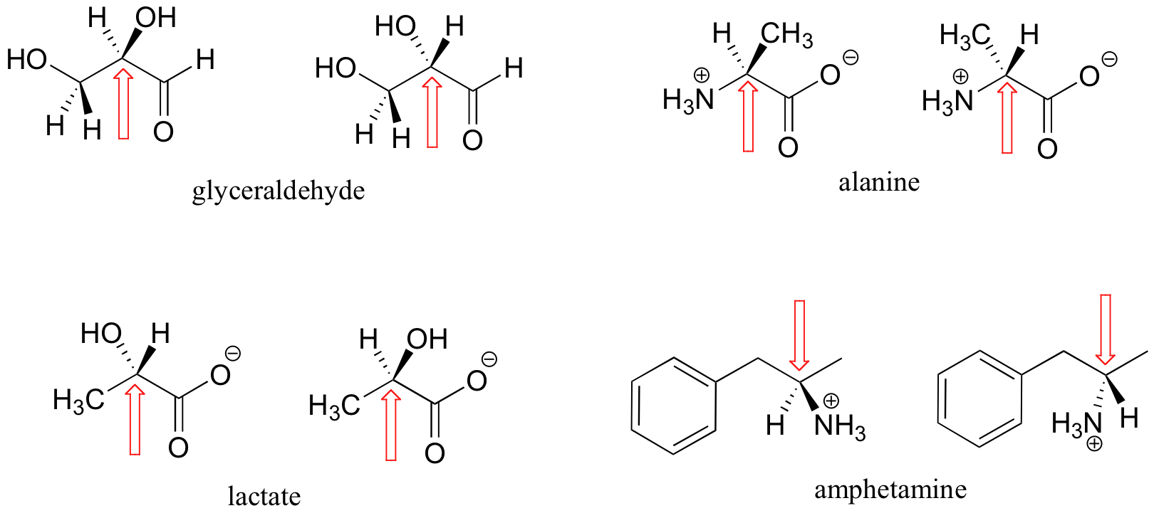 Wedge-dash enantiomers of glyceraldehyde, alanine, lactate, and amphetamine. 