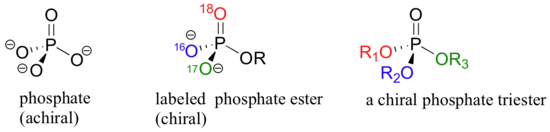 Chemical structures of phosphate (achiral), a labeled phosphate ester (chiral), and a chiral phosphate triester.