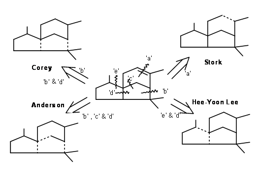 By cleaving at different sites of the starting material, Corey, Stork, Anderson, and Hee-Yoon Lee synthesize Cedrene.