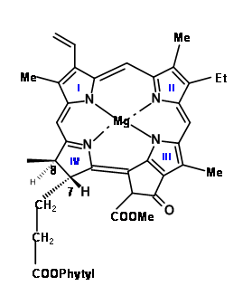 La clorofila “a” se muestra con los anillos heterocíclicos que contienen nitrógeno etiquetados comenzando en la parte superior izquierda con I y moviéndose en sentido horario a IV.