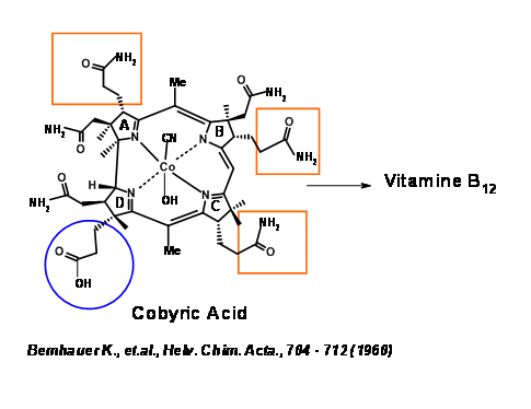 Vitamin B12, folate, and the methionine remethylation cycle—biochemistry,  pathways, and regulation - Froese - 2019 - Journal of Inherited Metabolic  Disease - Wiley Online Library