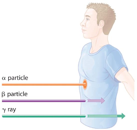 Alpha particles hit the person and stop, beta particles travel part way through the person, and gamma rays travel fully through the person and out the other side.