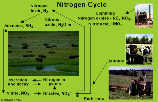Picture of an open grassy field, industrial plant, cows, and a farmer on a tractor is shown along phases of the nitrogen cycles to depict the compounds produced and consumed in the cycle.