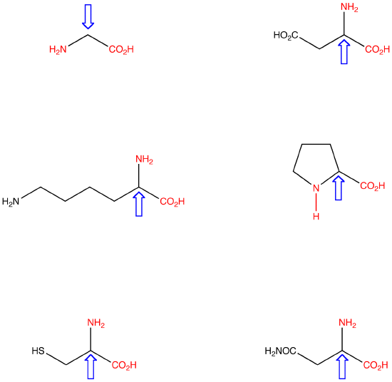 alphaaminoacid.png