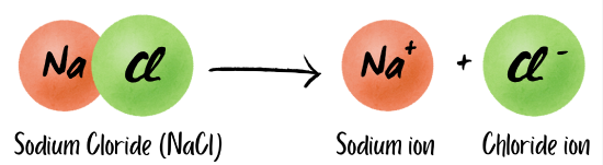 Sodium chloride ionic formula is made of one sodium ion and one chloride ion.