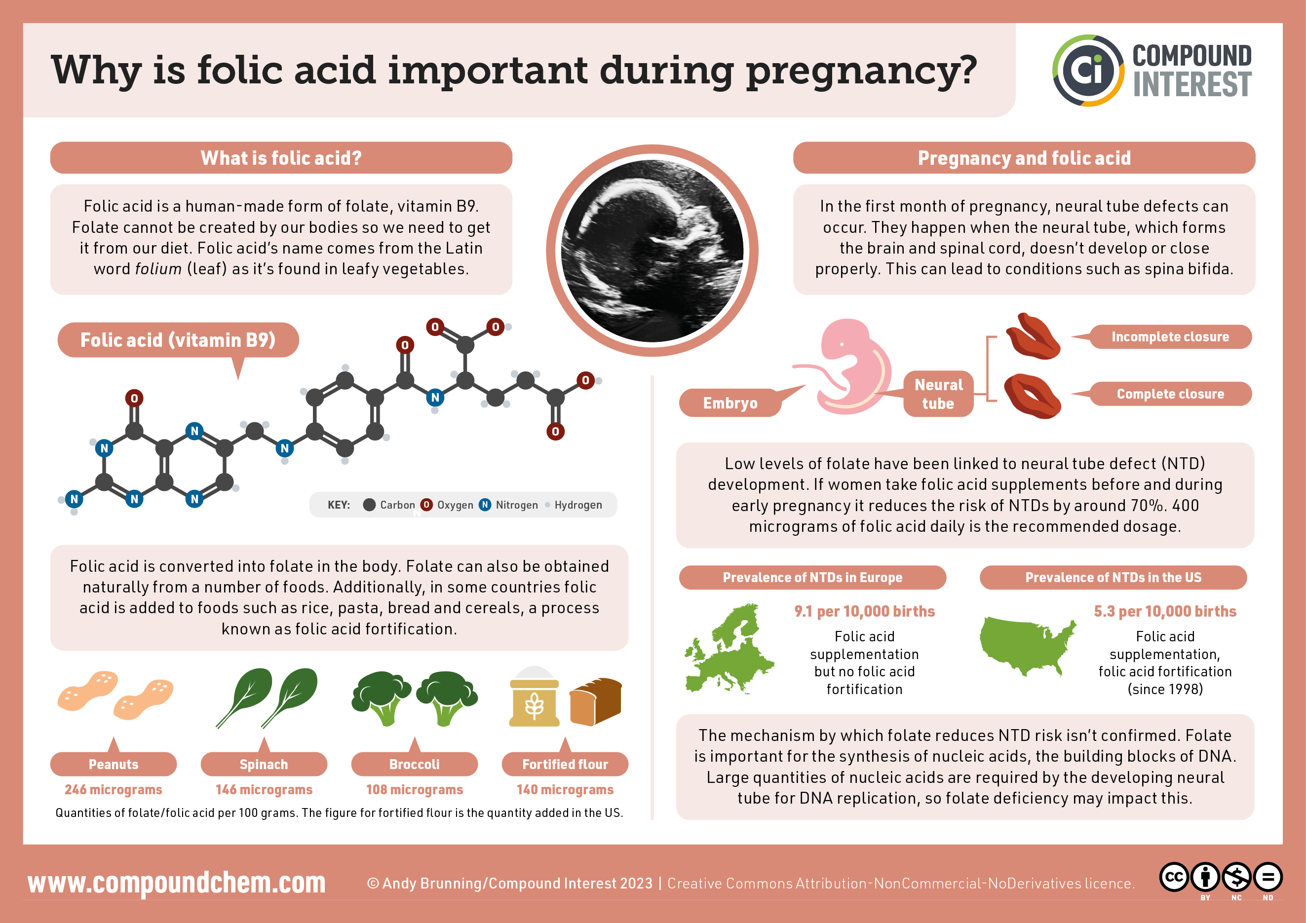 Folic-acid-and-pregnancy-2023.png