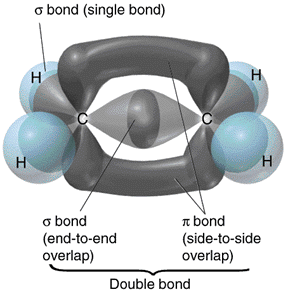 Hybrid Orbitals in Carbon Compounds - Chemistry LibreTexts