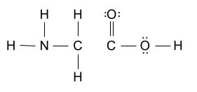 N with single bonds to H, H, and C. The upper O has a double bond to C and two lone pairs. The O to the right has two single bonds and two lone pairs.