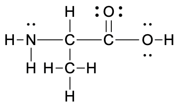 NH2CH(CH3)C(=O)OH with one lone pair on N and two lone pairs on each O