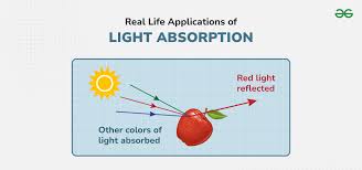 mindtouch.page#thumbnail