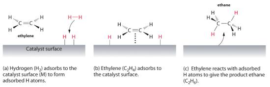 Hydrogen adsorbs to the catalyst surface to form adsorbed H atoms. Ethylene adsorbs to the catalyst surface. Ethylene reacts with adsorbed H atoms to give the product ethane.