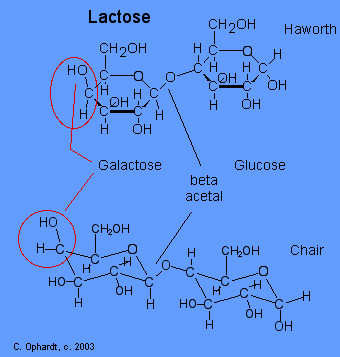 546Hlactose.gif