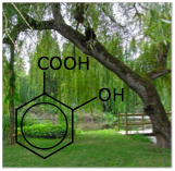 salicylic.png