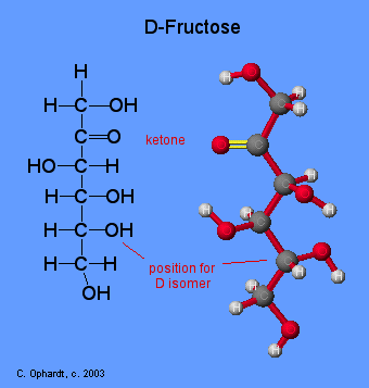Fructose is composed of numerous functional groups known as hydroxyls  (-OH), which are alcohol-based. Recognize and label the hydroxyl functional  groups present in the fructose molecule below-mentioned.