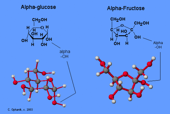 fructose molecule diagram