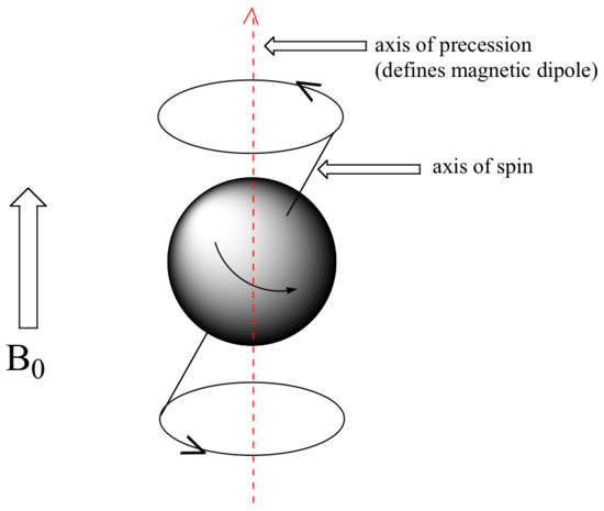 The axis of precession defines magnetic dipole. The axis of spin is diagonal. 
