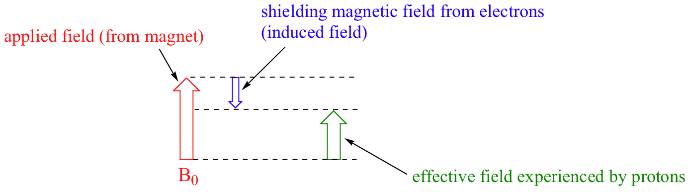 The applied field from magnet is represented as a large arrow point up. The shielding magnetic field from electrons (the induced field) is represented as a small blue arrow pointing down. The effective field experienced by protons is a medium green arrow point up. 