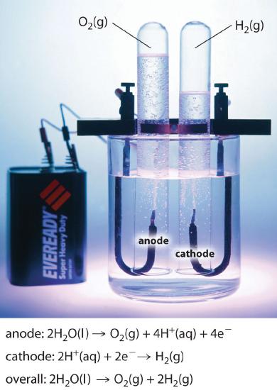 The anode reaction is 2H2O form O2 gas, 4H+, and 4 e-. The cathode reaction is 2H+ reacts with 2e- to form H2. Overall, 2H2O form O2 gas and 2H2 gas.