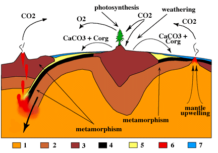 Summary of the global carbon cycle with different layers of the Earth shown in seven different colors. A legend for each color is provided below diagram.