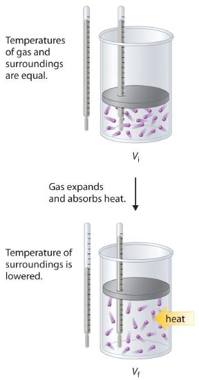 Diagram showing a beaker topped with a piston and filled with gas. The image shows the temperature of the gas and surroundings being equal, then the gas expands and absorbs heat which causes the piston to raise and the temperature of the surroundings to lower.