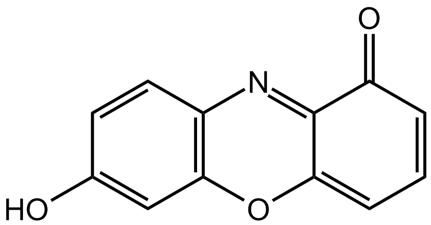 7-hydroxyphenoxazone.png