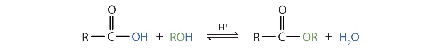 reaction scheme for an condensation reaction
