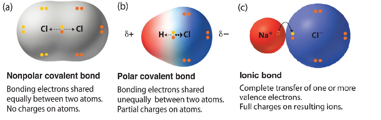 Image result for polar bond